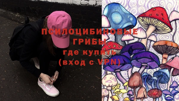 mdpv Горняк
